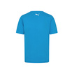 T-shirt męski Logo niebieski Williams Racing 2025