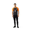T-shirt męski Set Up Norris Team szary McLaren F1 2025