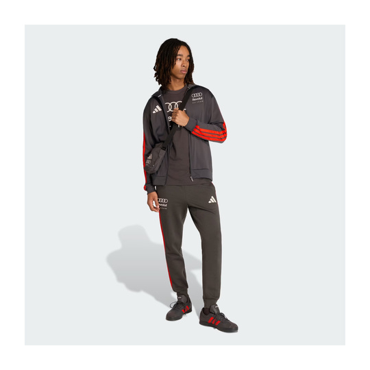 T-shirt męski DNA Graphic szary Audi Revolut F1 2026