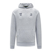 Bluza męska Graphic grey Ayrton Senna F1 