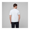 T-shirt męski Patches Williams Racing 2025