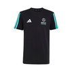 Koszulka t-shirt dziecięca czarna DNA Logo Mercedes AMG F1 2026