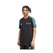 T-shirt męski czarny DNA Logo Mercedes AMG F1 2025