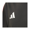 T-shirt dziecięcy DNA Audi F1 2026