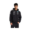 Bluza z kapturem Team Mercedes AMG F1 2026