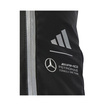 Plecak męski Advanced Mercedes AMG F1 2025
