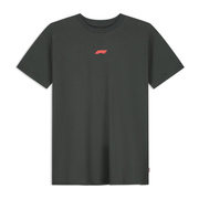 T-shirt męski RDW Graphic czarny Formula 1 2026