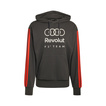 Bluza z kapturem DNA Audi Revolut F1 2026