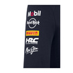 Bluza z kapturem Pullover Team Red Bull Racing 2025