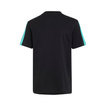 Koszulka t-shirt dziecięca czarna DNA Logo Mercedes AMG F1 2026