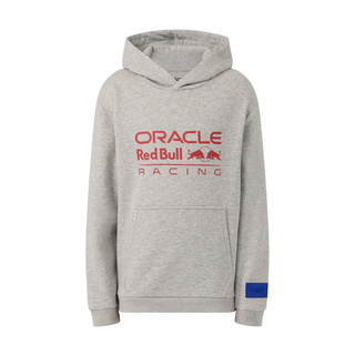 Bluza z kapturem dziecięca Relaxed Red Bull Racing F1 2026 szara