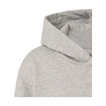 Bluza z kapturem dziecięca Relaxed Red Bull Racing F1 2026 szara