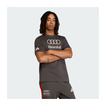 T-shirt męski DNA Graphic szary Audi Revolut F1 2026