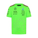 Koszulka t-shirt męska Set Up Team green Mercedes AMG F1 2024