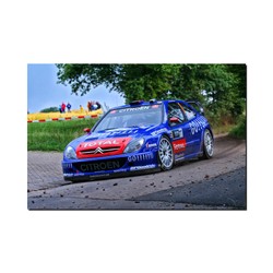 Fotoobraz Sebastien Loeb / Daniel Elena - Citroen Xsara WRC 120 x 80 cm